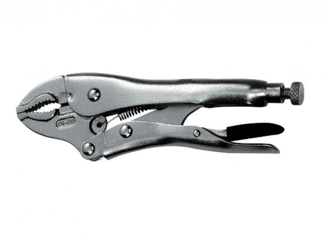 PINCE ETAU 10' 250MM CMbd KRAFTWERK (implant' 1 & 2ml)