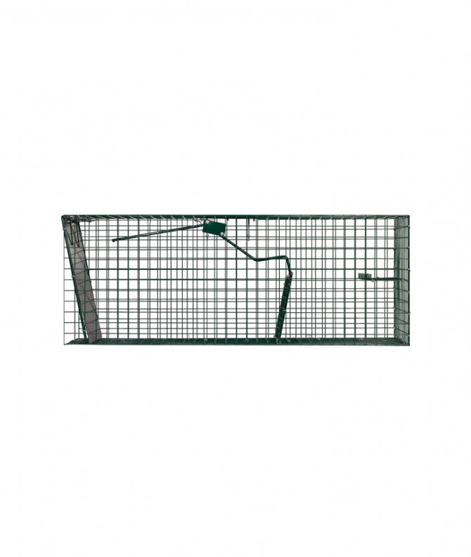 BOÎTE 1 ENTRÉE SPÉCIAL RAGONDIN 82 x 31 x 31 cm