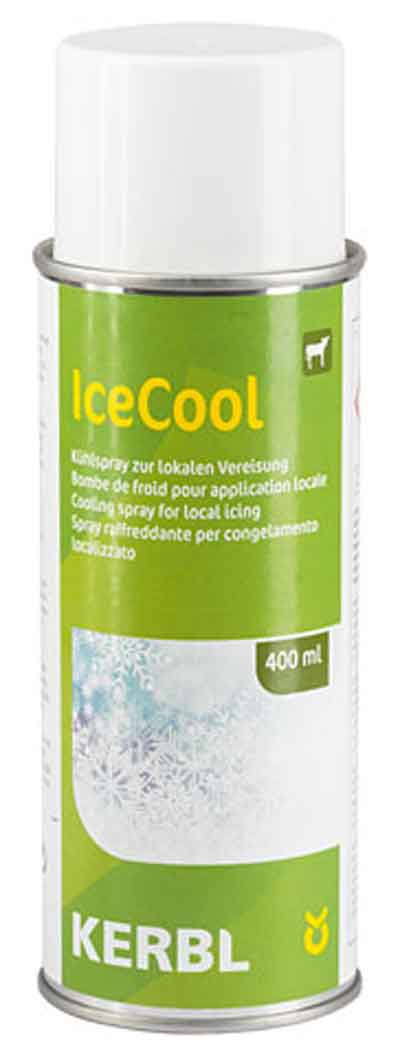 CONSTANTA COOL SPRAY 500 ML POUR PEIGNES