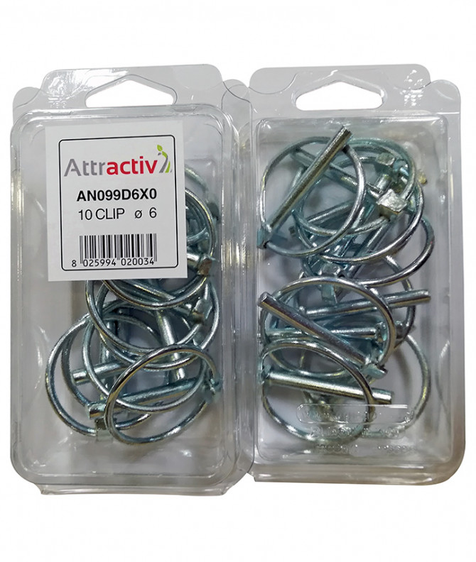 GOUPILLE CLIP ø6MM - ATTRACTIV - COQUE DE 10 PIECES
