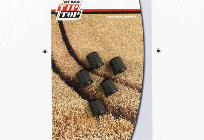 BOUCHONS PLASTIQUES  POUR VALVES TUBELESS x5