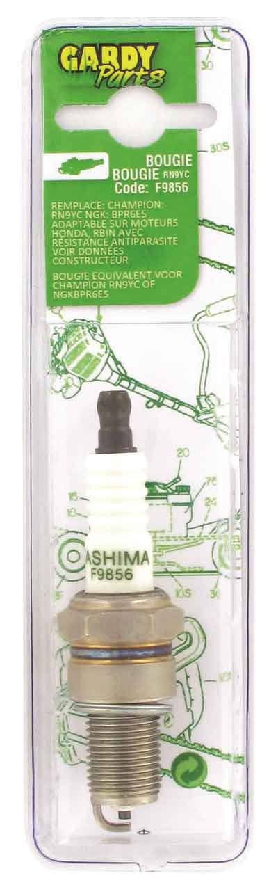 BOUGIE EQUIVALENCE CHAMPION RN9YC - SCR9C