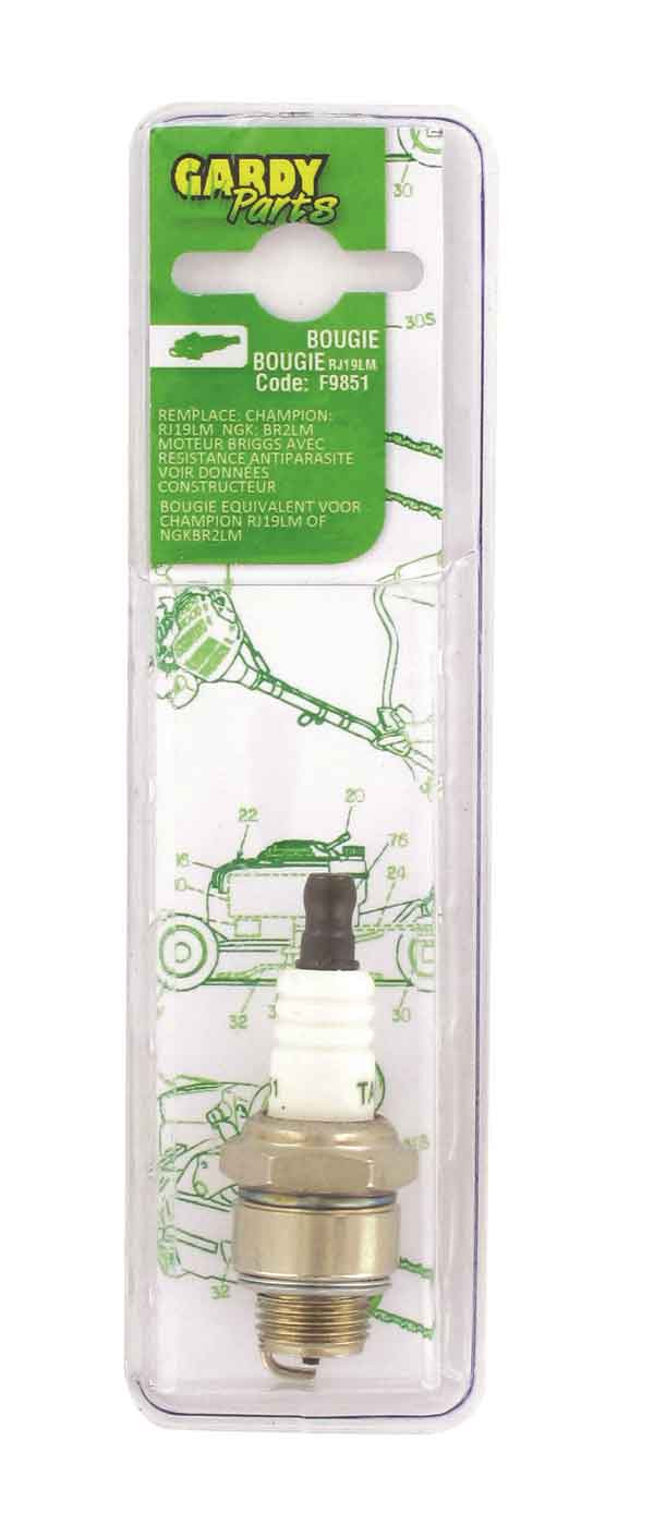 BOUGIE BRIGGS - EQUIVALENCE CHAMPION RJ19LM