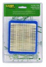 FILTRE BRIGGS POUR MOTEUR QUANTUM (REMPLACE : 491588)