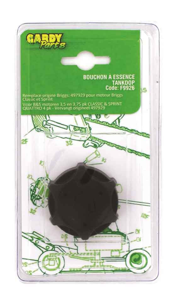 BOUCHON ESSENCE POUR BRIGGS