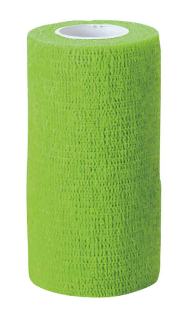 BANDAGE AUTOCOLLANT VETLASTIC 10CM VERT CLAIR