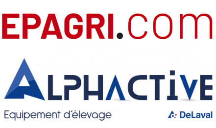 ALPHACTIVE