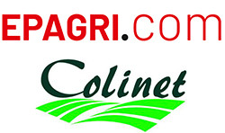 COLINET - SANDELION - AGRI BEAUJOLAIS